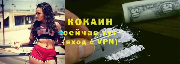 крисы Богородск