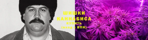 дмт Снежногорск