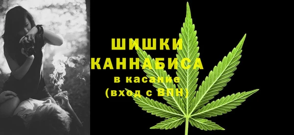 ешки Богородицк