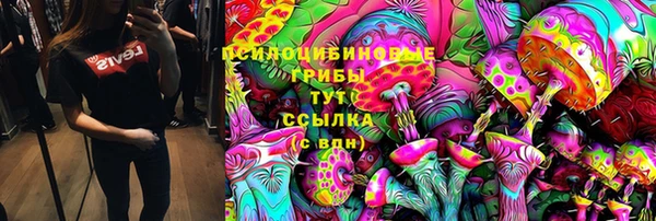 дмт Снежногорск